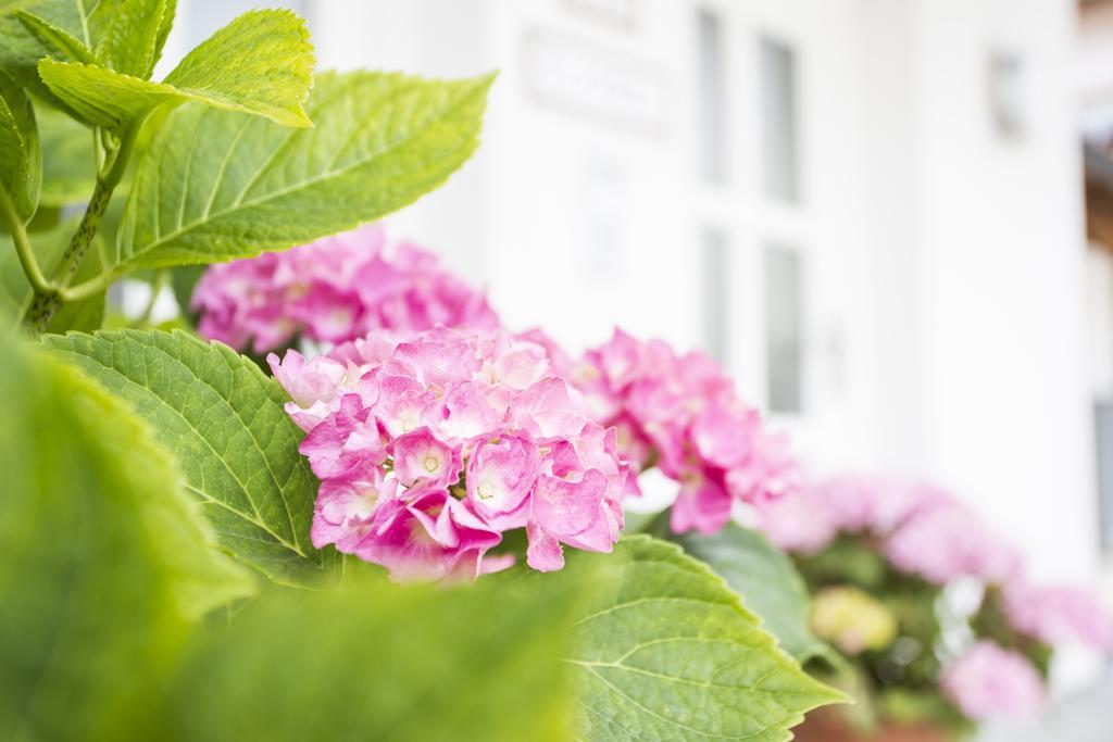 Appartement Am Sonnweg 제펠드 인 티롤 외부 사진